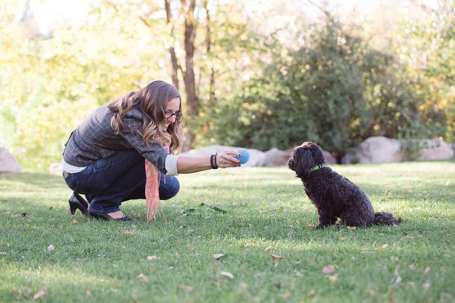 woman training dog in park